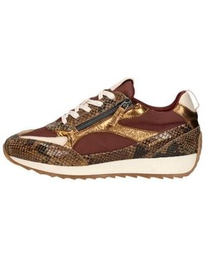 Piedi Nudi Hera Sneakers Laag - Braun