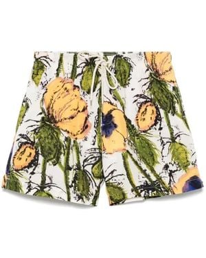 Wales Bonner Casual Shorts - Multicolor