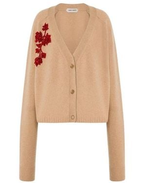 Alberta Ferretti Cashmere Knitwear - Neutre