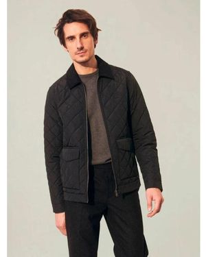 Lexington Light Jackets - Gris