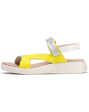 Wonders Wedges - Giallo