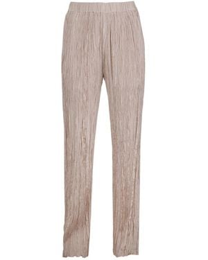 Alysi Straight Pants - Gray