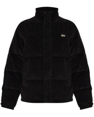 Lacoste Gesteppte Jacke Mit Logo-Patch - Schwarz