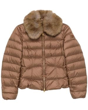 Peuterey Winter Jackets - Marrón