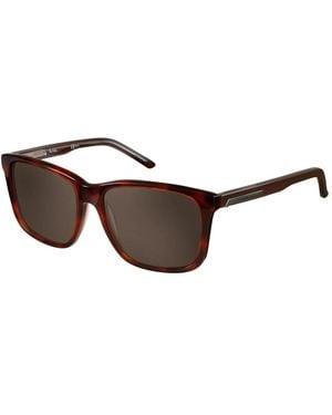 Pierre Cardin Sunglasses - Brown