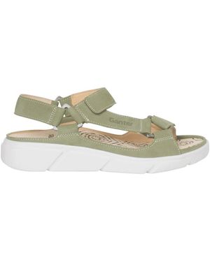 Ganter Wedges - Vert