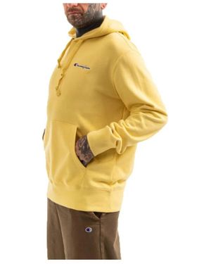Champion Hoodies - Metallic