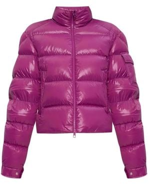 Moncler Winter Jackets - Morado
