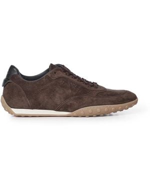Tod's Sneakers - Marrone