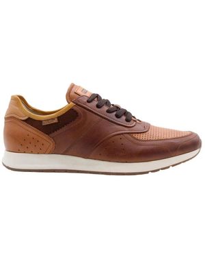 Pikolinos Chien sneaker - Braun