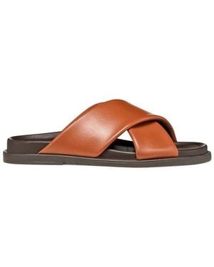 Geox Sliders - Marrón