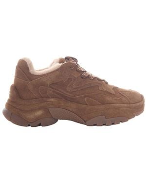 Ash Addict Bis Sneakers - Braun