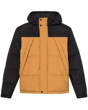 Timberland Winter Jackets - Orange
