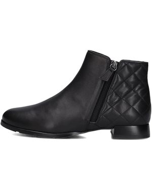 HASSIA Ankle Boots - Zwart