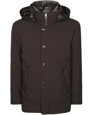 Montecore Jassen ,Bruin ,Leer Piumino Imbottito Ny - Zwart