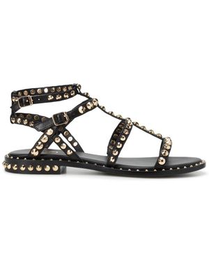 Ash Flat Sandals - Black