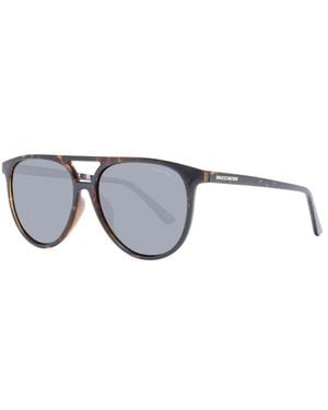 Skechers Sunglasses - Brown