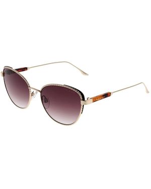 Ted Baker Sunglasses - Marrone