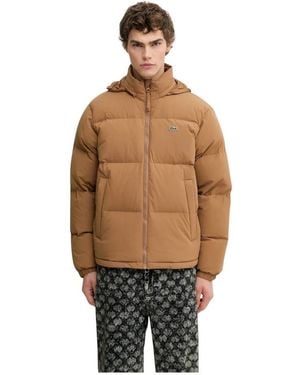 Lacoste Down Jackets - Marrón