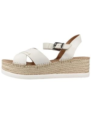 Stonefly Wedges - Metálico