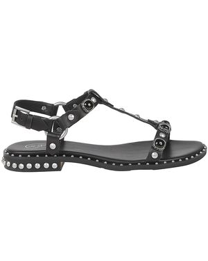 Ash Flat Sandals - Noir