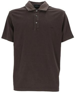 Fay Prato Polo - Bruin