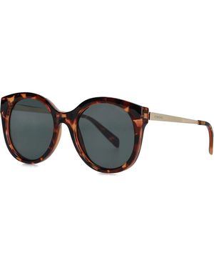 Komodo Braune Metallsonnenbrille Ellis Eleganter Stil - Schwarz
