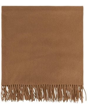 Max Mara Accessoires ,Bruin ,Kasjmier Cashmere Sjaal Baci