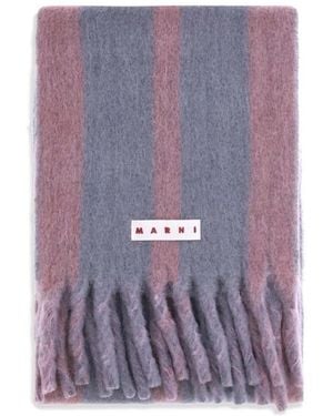 Marni Alpaka Mohair Wollschal Mit Fransen - Lila