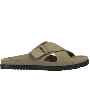 Doucal's Sliders - Brown