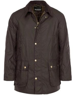 Barbour Light Jackets - Marrón