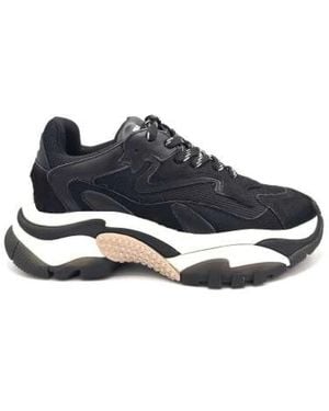 Ash Trainers - Blue