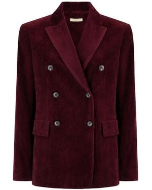 Antonelli Blazers - Viola