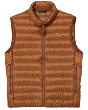 Lacoste Vests - Marrón
