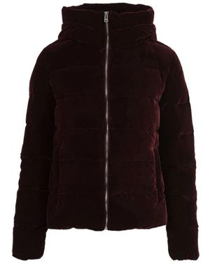 Museum Winter Jackets - Noir