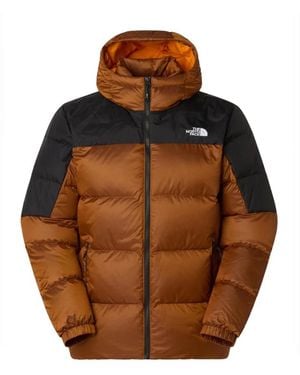 The North Face Down Jackets - Marron