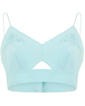Alberta Ferretti Sleeveless Tops - Blue