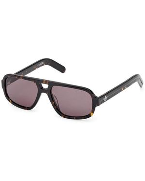 adidas Originals Sunglasses - Brown