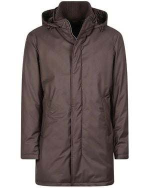 Herno Down Coats - Marron