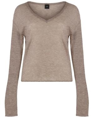 Pinko V-Neck Knitwear - Bruin