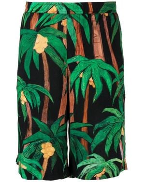 Endless Joy Casual Shorts - Green