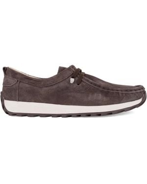 Santino Milano Laced Shoes - Brown