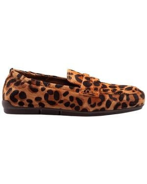Ash Barkley Loafer - Bruin