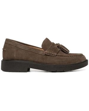 Geox Loafers - Marrone