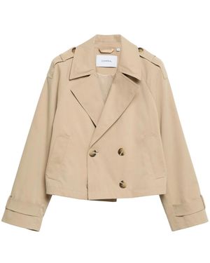 Comma, Trench Coats - Neutro