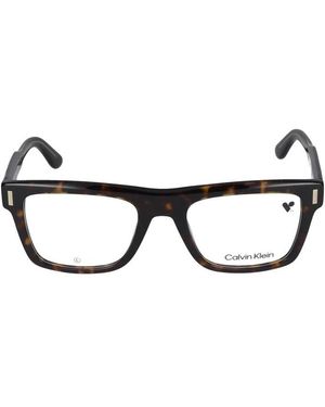 Calvin Klein Glasses - Brown