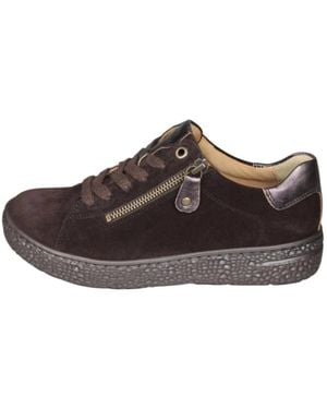 Hartjes Sneakers - Marron