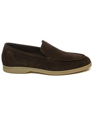 BERWICK 1707 Schoenen ,Bruin ,Suède 5542 Moccasin - Zwart