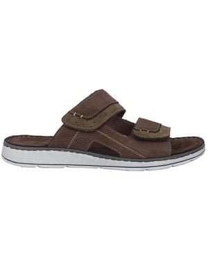 Rohde Sliders - Marrone