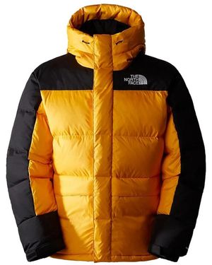 The North Face Down Jackets - Metallic